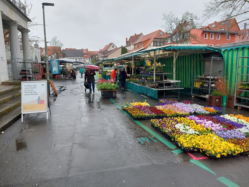 Beiträge Göttinger Wochenmarkt zieht um Ab heute an der